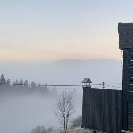 Ecottage котедж для двох у горах Славское Экстерьер фото