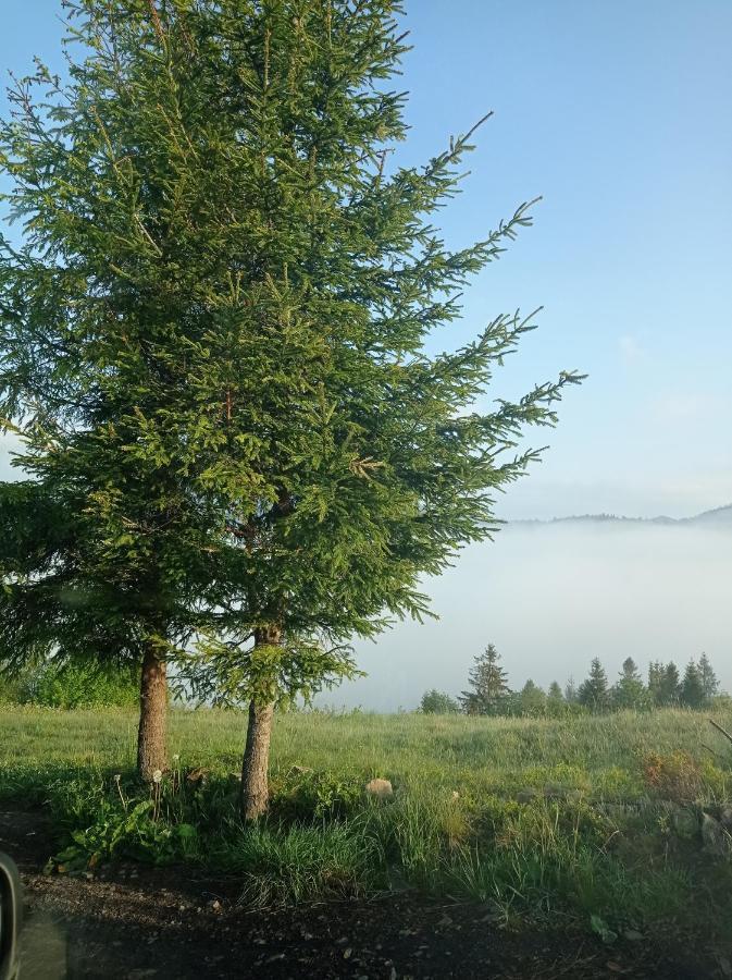 Ecottage котедж для двох у горах Славское Экстерьер фото